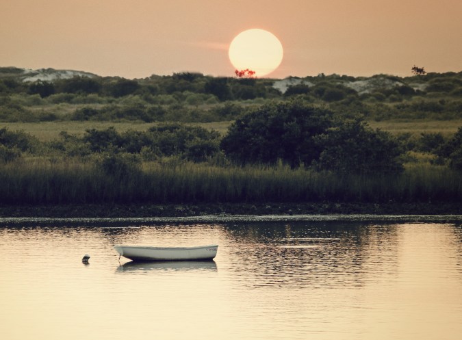 IMG_2881+0100new mother+sepia glow-cropped for card