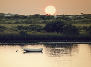 IMG_2881+0100new mother+sepia glow-cropped for card