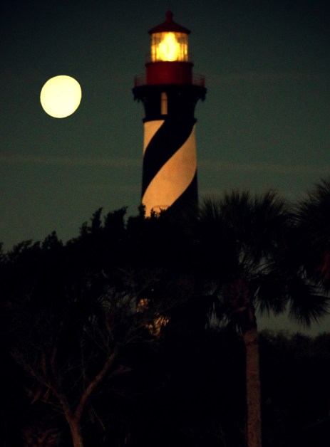 IMG_0397 motherwsuntoycameralomocontrast