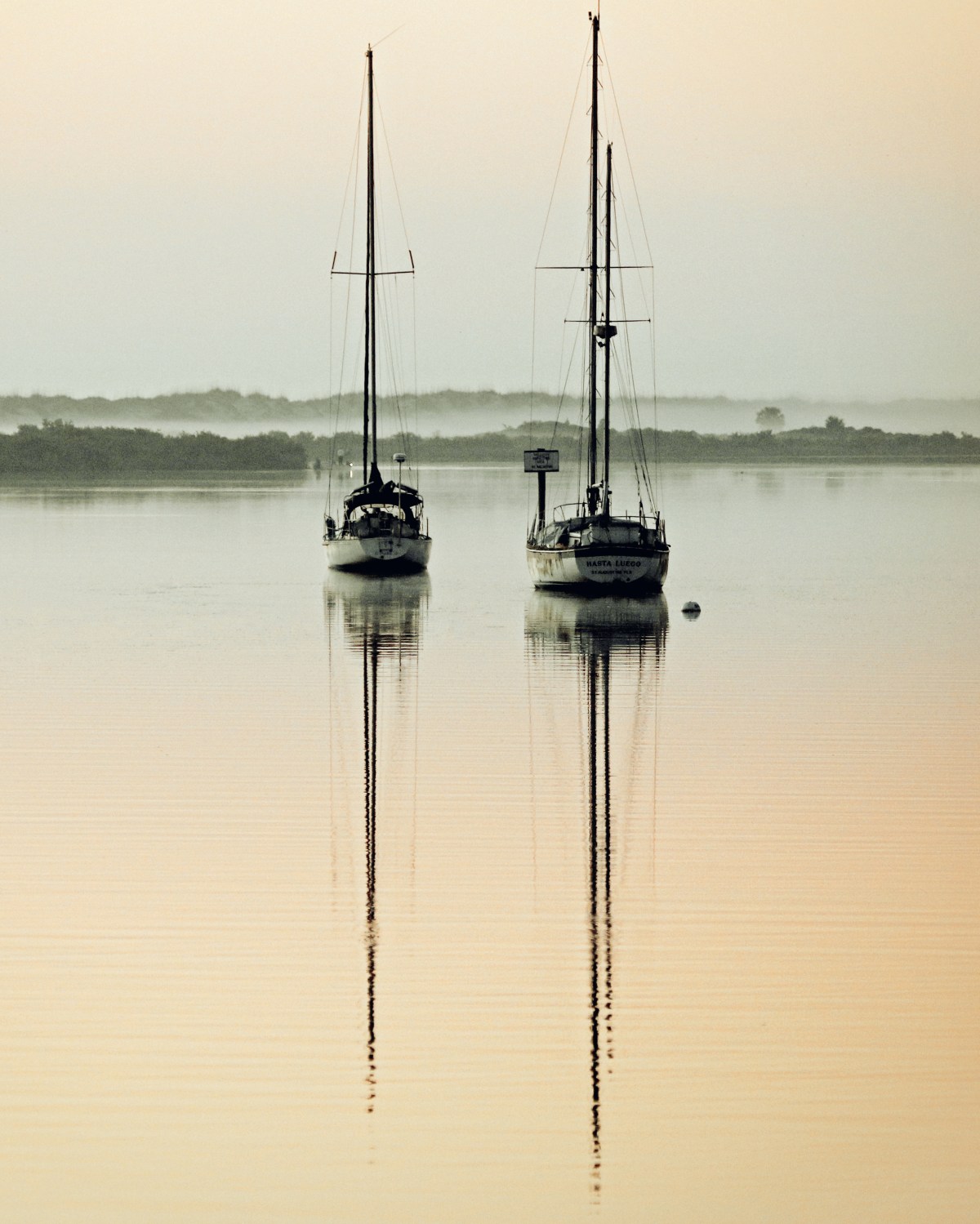 Sailboats Dream