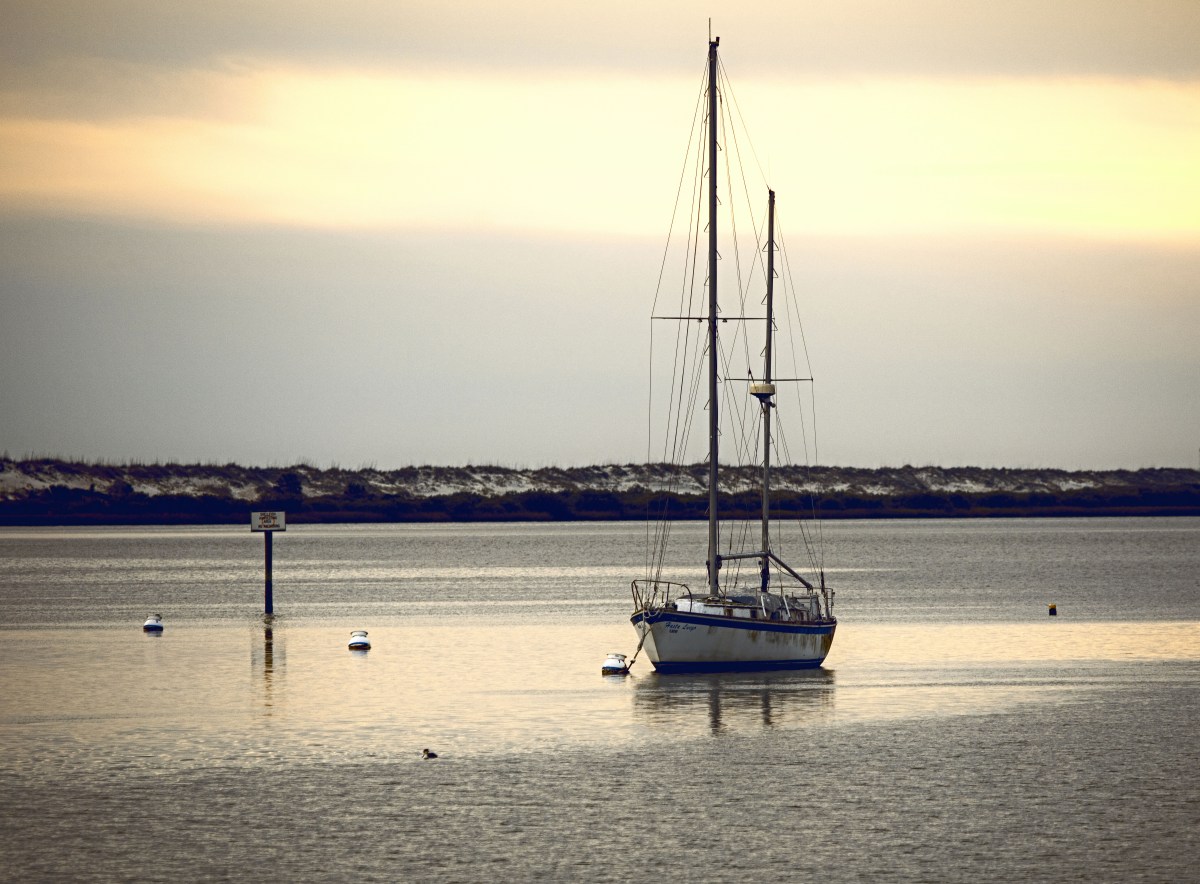 0P1A0176motherElementsRAW-cropped-auto2lightened cropped for card-medium save