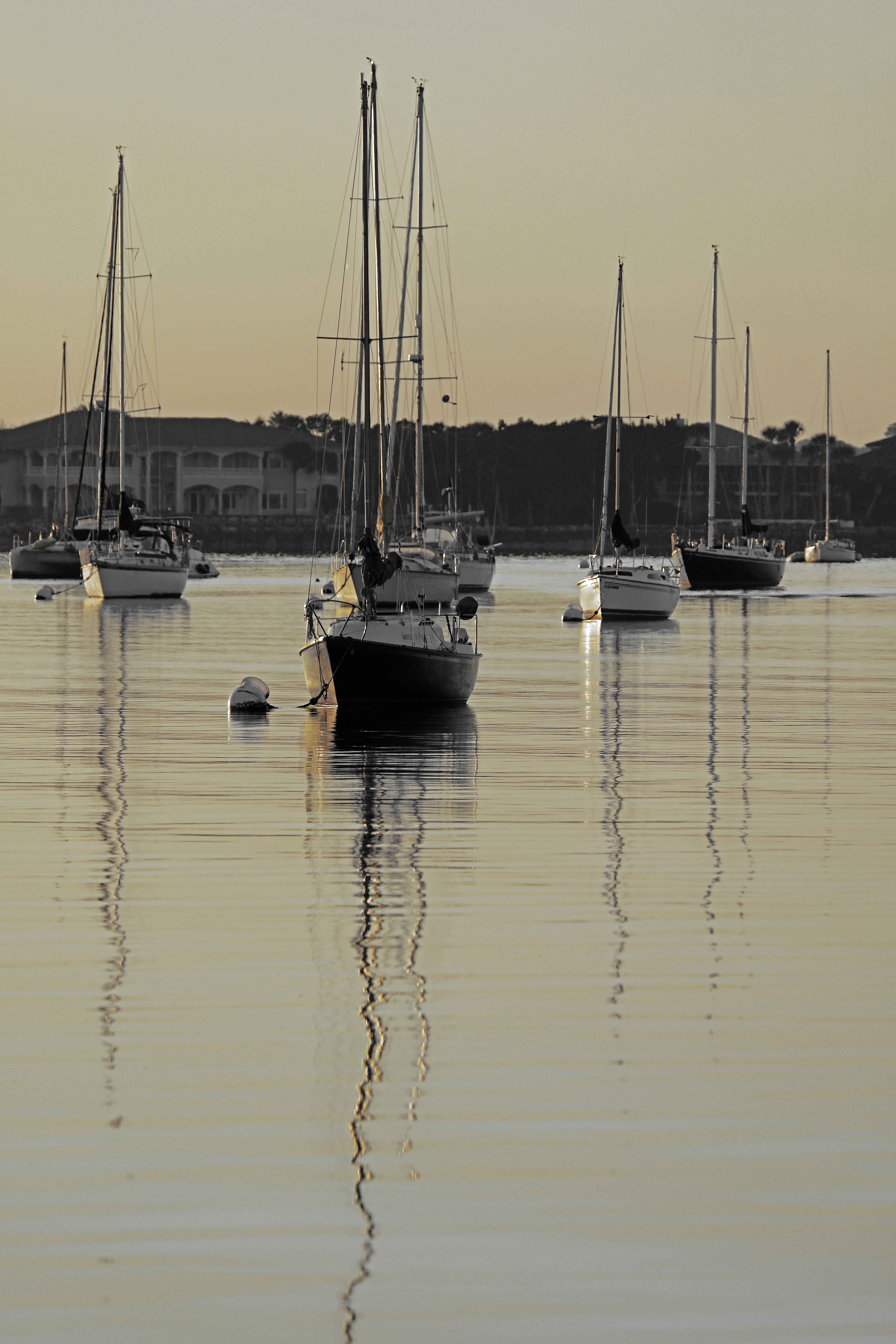 0P1A0354motherJPEG-Color Pop Yellow-rotated&amp;cropped lightened