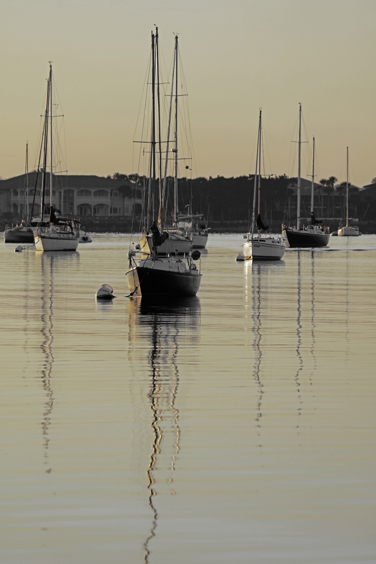 0P1A0354motherJPEG-Color Pop Yellow-rotated&amp;cropped lightened