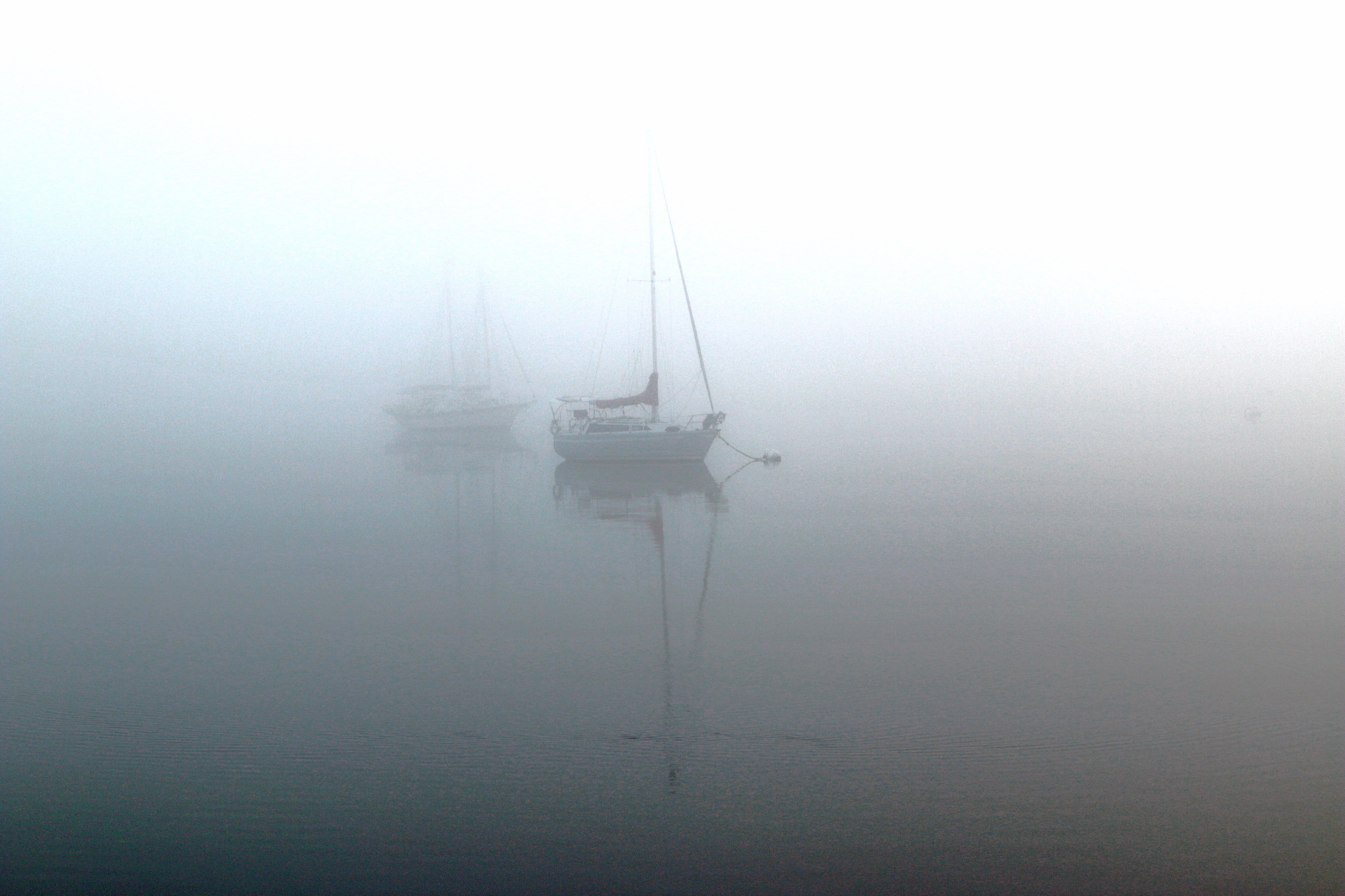 IMG_4450mother 2 JPEG