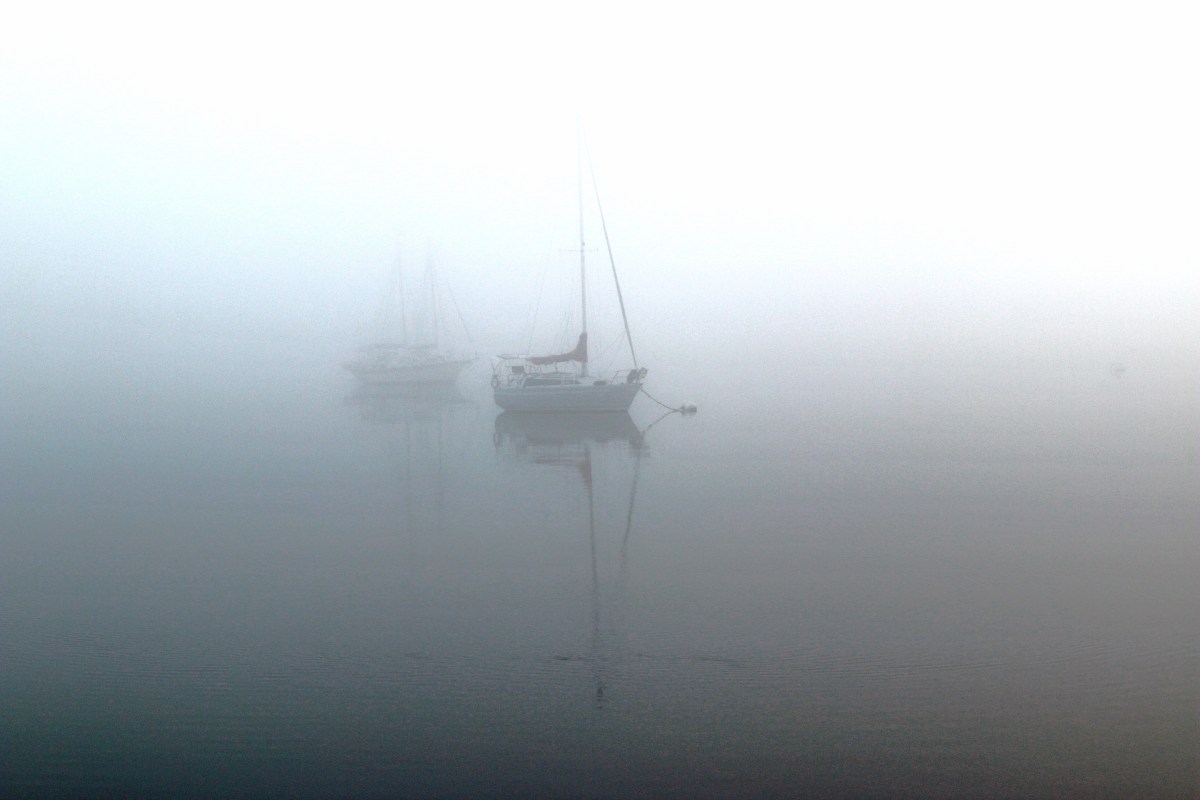 IMG_4450mother 2 JPEG