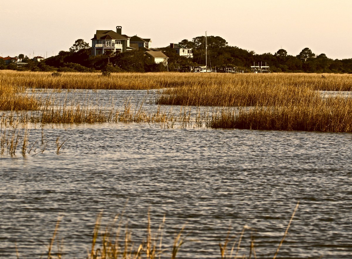 IMG_4791-motherJPEG-smartlook2-cropped for card and internet