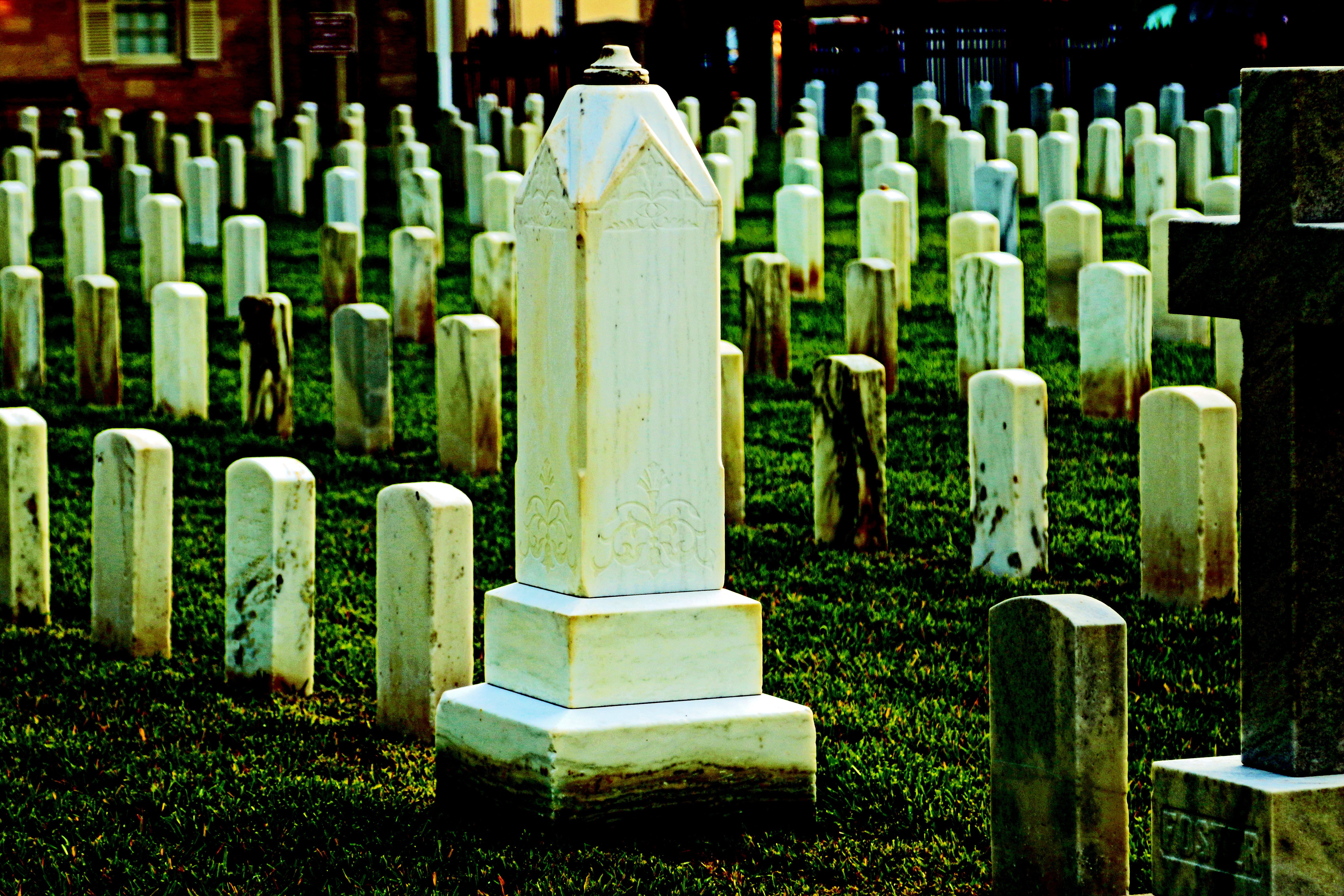 IMG_5060-motherJPEG1-levels