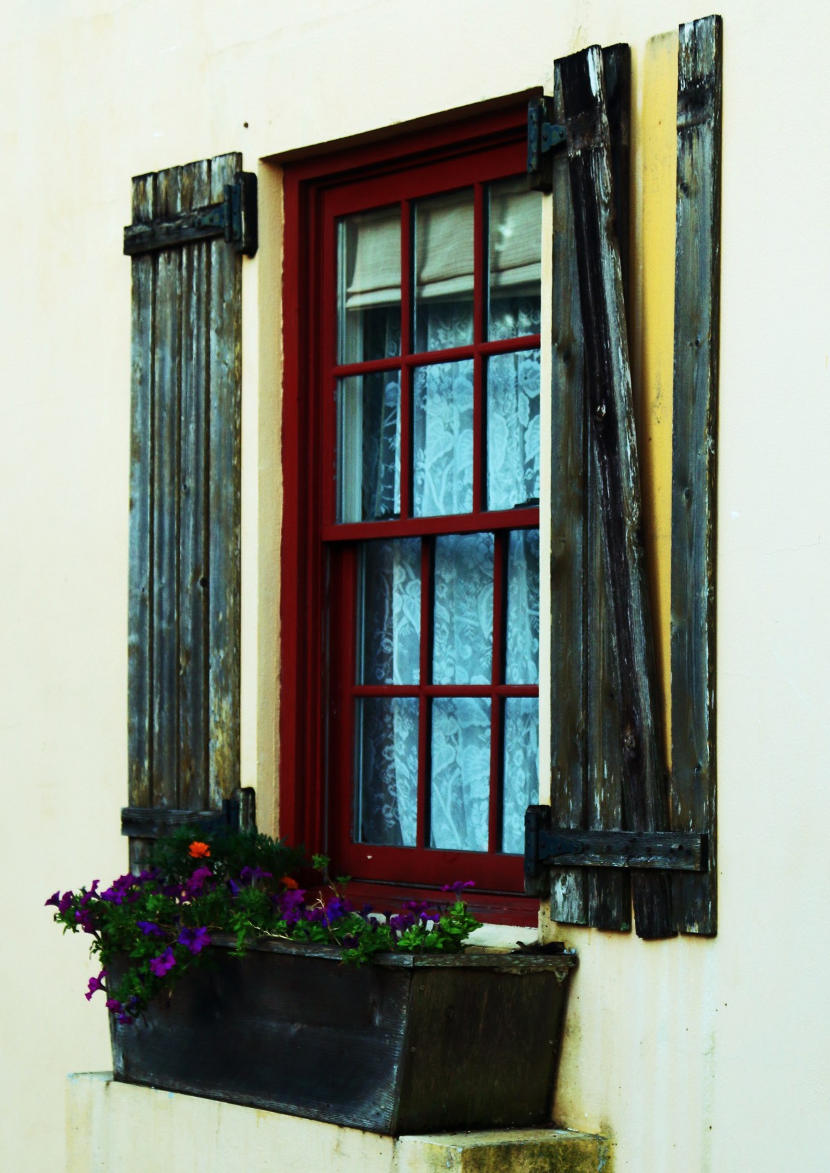 IMG_5644#228-motherJPEG1-lomo-for card