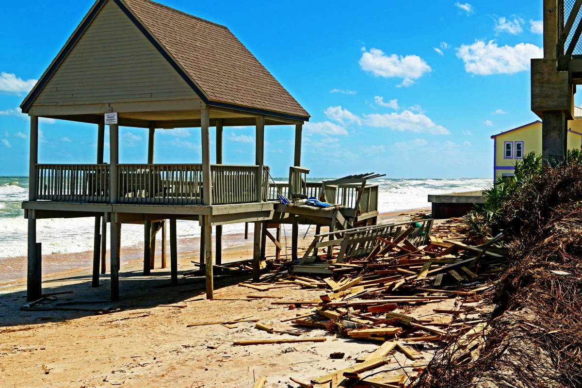 img_6560motherjpeg1-ortonx2