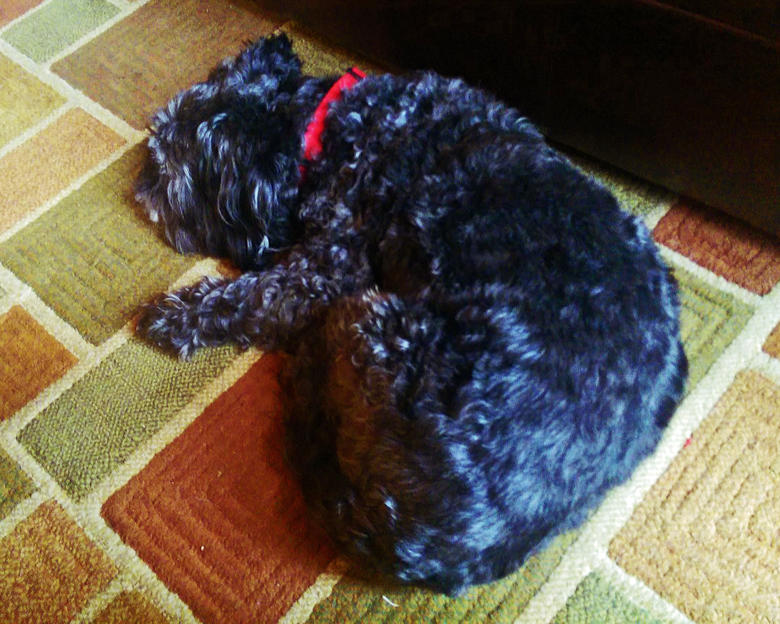 imag00562motherjpeg1-8x10-lomo