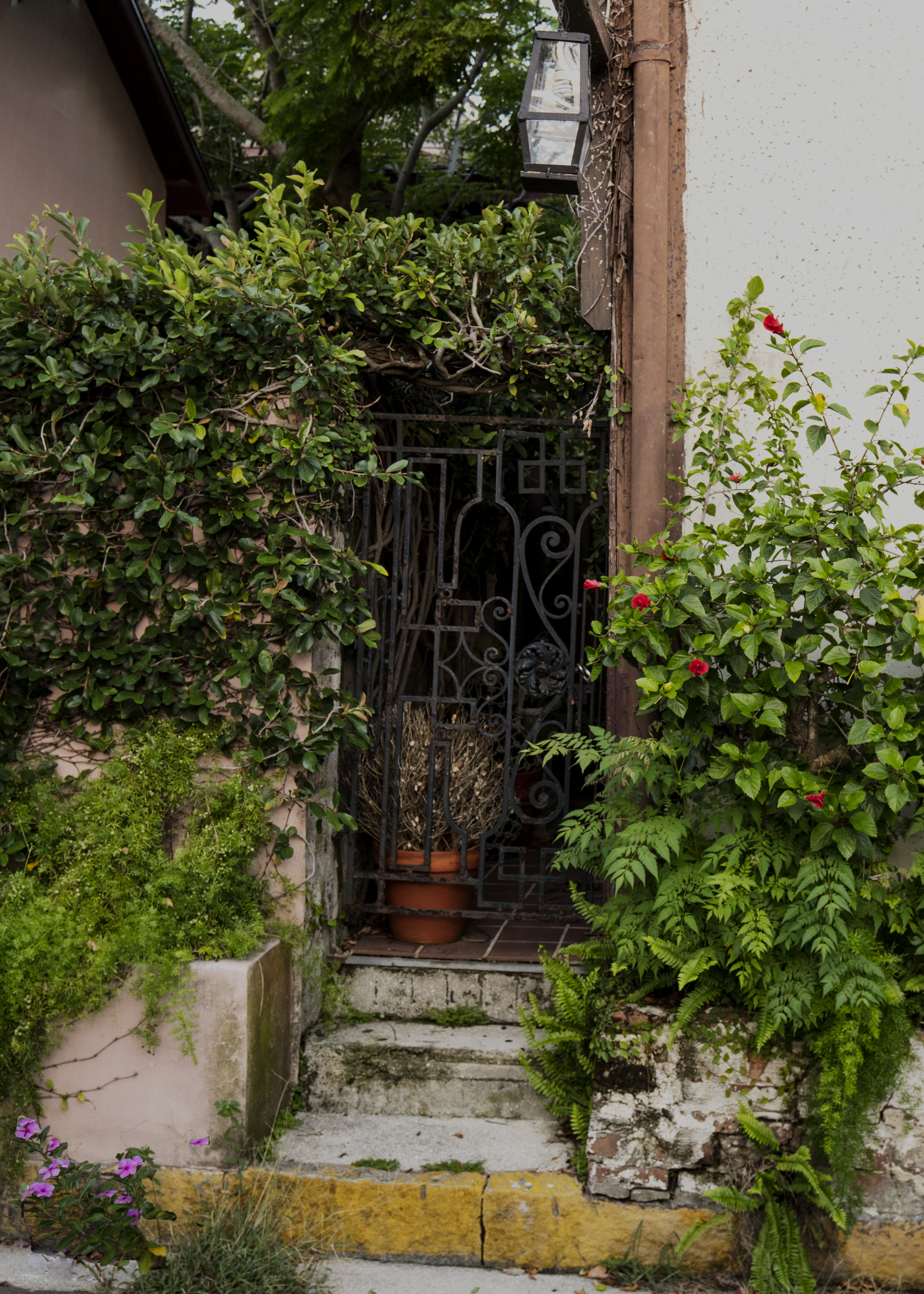 0P1A7112motherRAW1-7x5landscape then 5x7portrait+