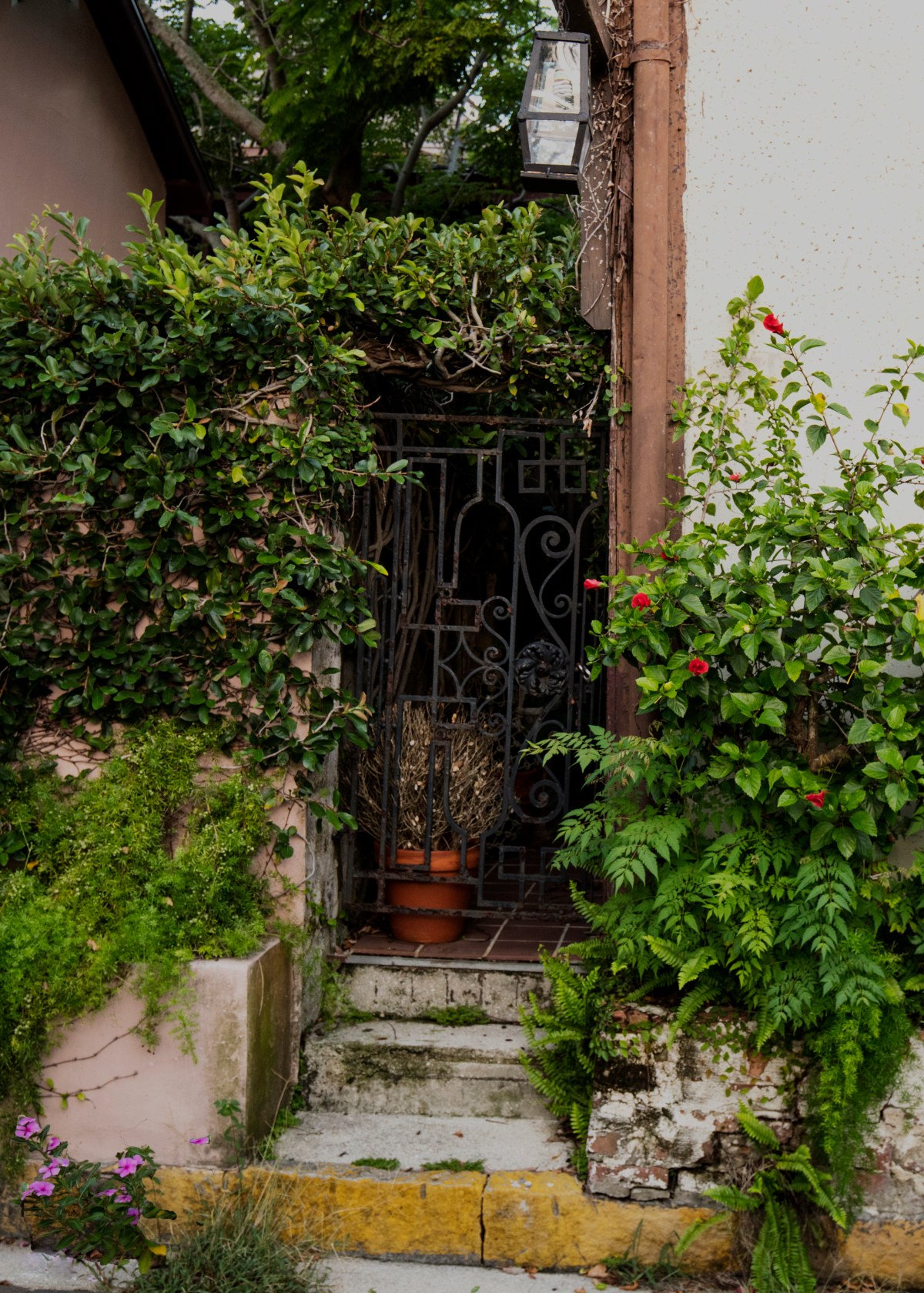 0P1A7112motherRAW1-7x5landscape then 5x7portrait+