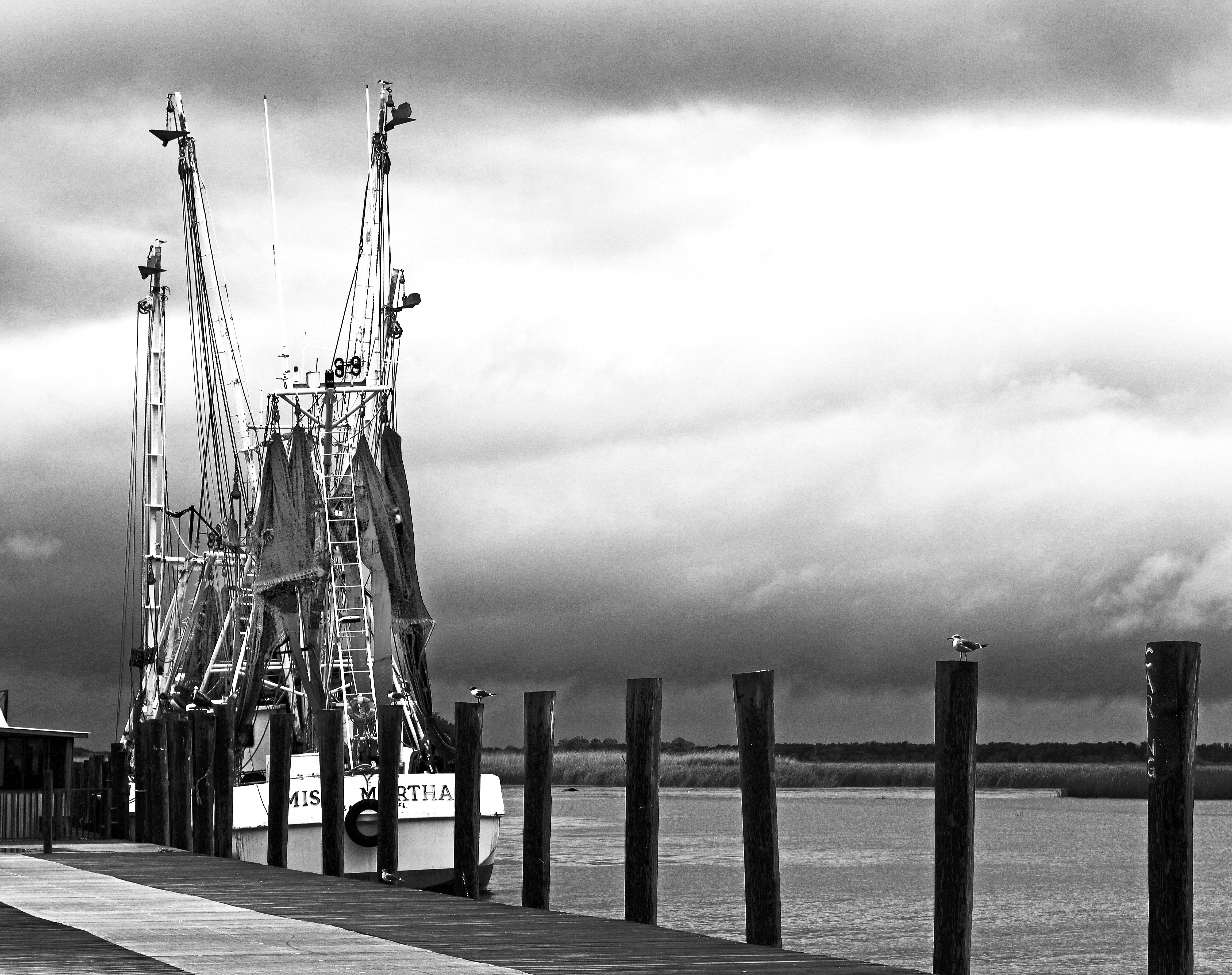 IMG_7123motherJPEG1-auto2-B&W light+2contrast with lightened nets