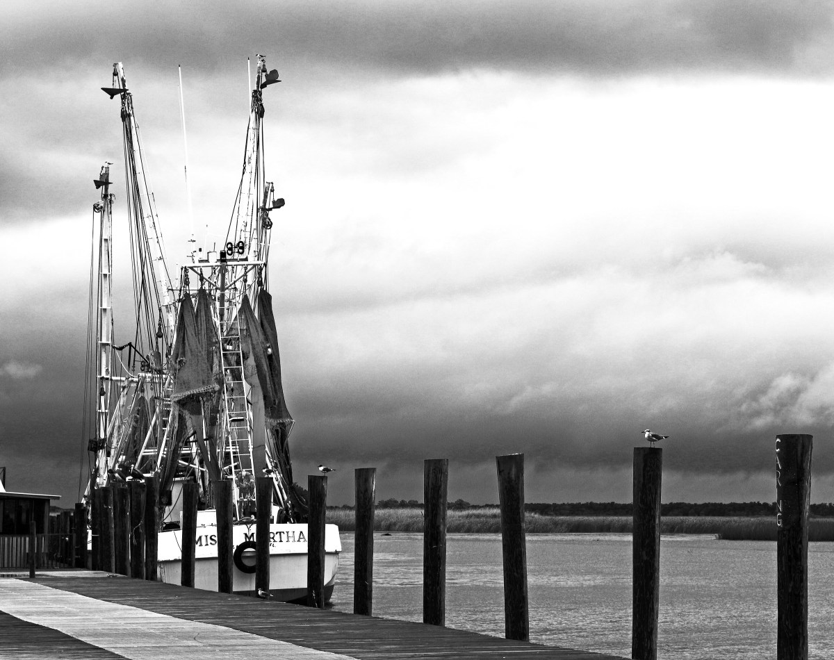 IMG_7123motherJPEG1-auto2-B&W light+2contrast with lightened nets