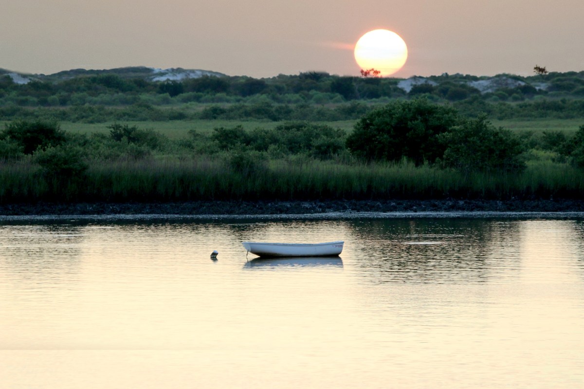 IMG_2881+0100 version 2 in photoshop